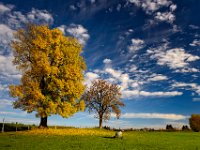 2013.10.26_093127_Herbst Rundfahrt Landsberg.jpg